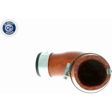 VAICO Ladeluftschlauch V10-2870