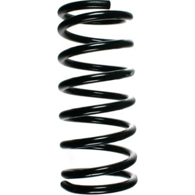 SPIDAN Fahrwerksfeder | 48608
