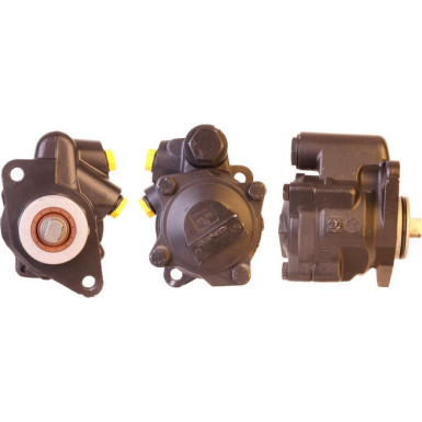 Servopumpe Dacia Logan/Sandero 04 | 15-0890