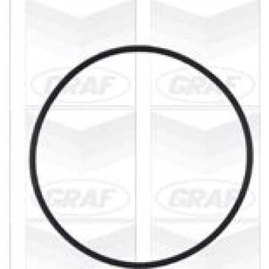 PA 572A Wasserpumpe | Opel Astra F,G 94-10 | PA572A
