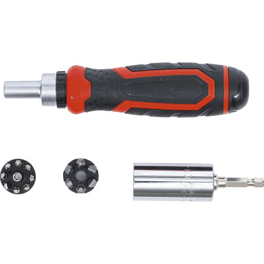 BGS Präzisions-Bit- / Multi-Einsatz-Satz mit Ratschen-Drehgriff für Bits, umschaltbar 17-tlg BGS Do it yourself 20817