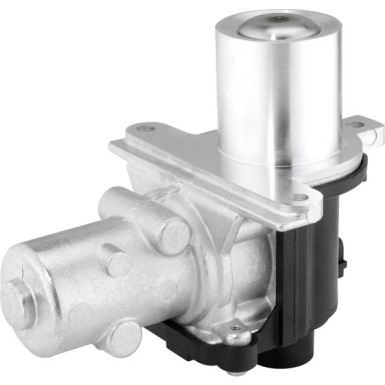 BorgWarner (Wahler) AGR-Ventil BorgWarner (Wahler) AGR-Ventil