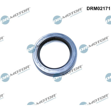 DRM02171 Wellendichtring, Differential