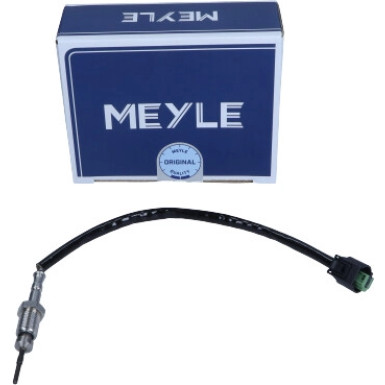 Sensor, Abgastemperatur | 3148000065