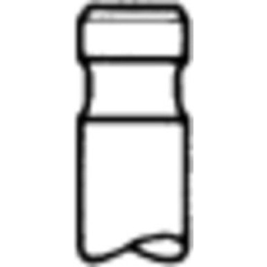 Auslassventil | 171055 Auslassventil | 171055