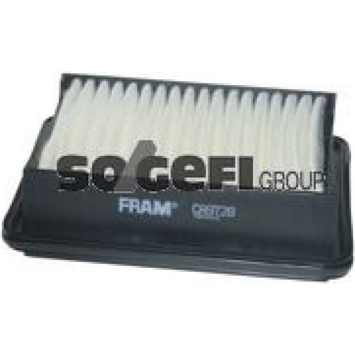 FRAM Luftfilter CA9728