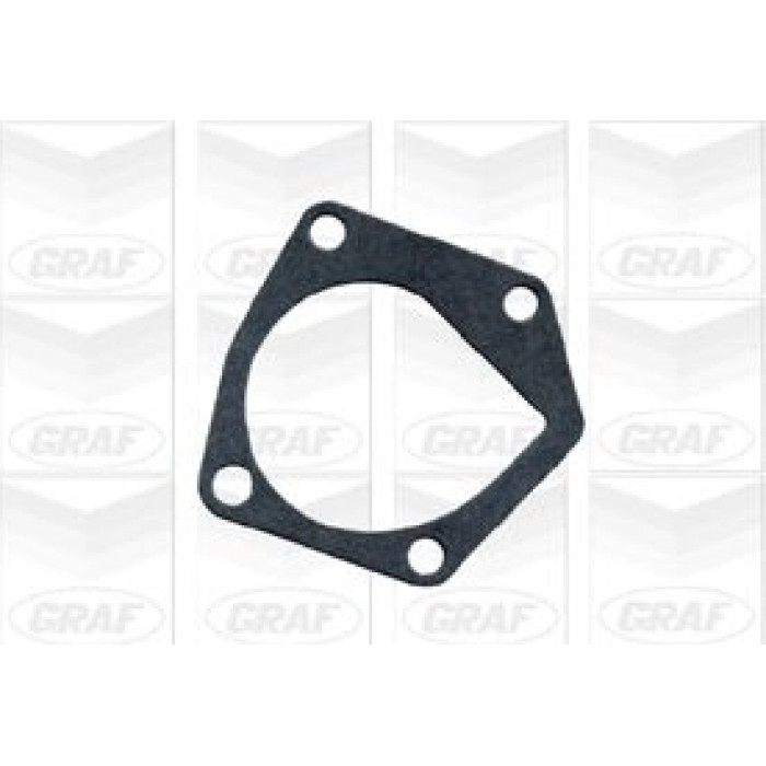 GRAF Wasserpumpe PA619 GRAF Wasserpumpe PA619