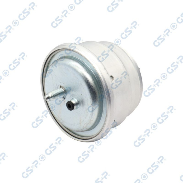530393 GSP Lagerung, Motor 530393