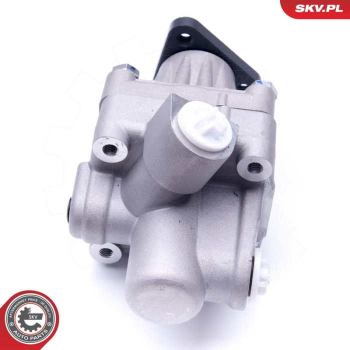 10SKV245 SKV GERMANY Hydraulikpumpe 10SKV245 10SKV245 SKV GERMANY Hydraulikpumpe 10SKV245