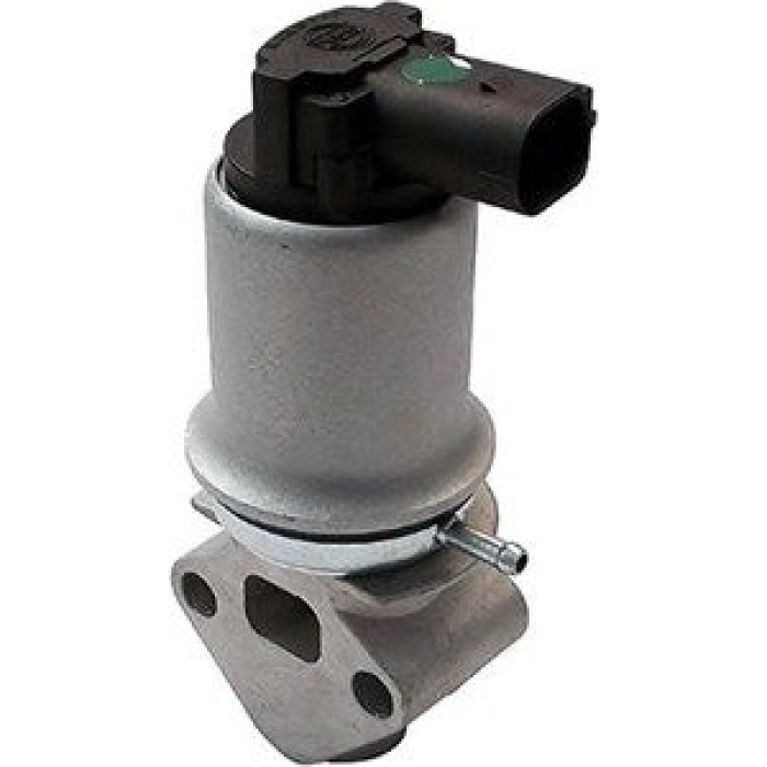 Magneti Marelli AGR-Ventil EV018
