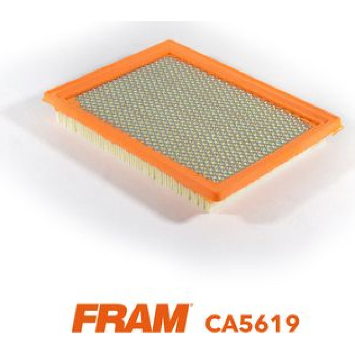 FRAM Luftfilter CA5619