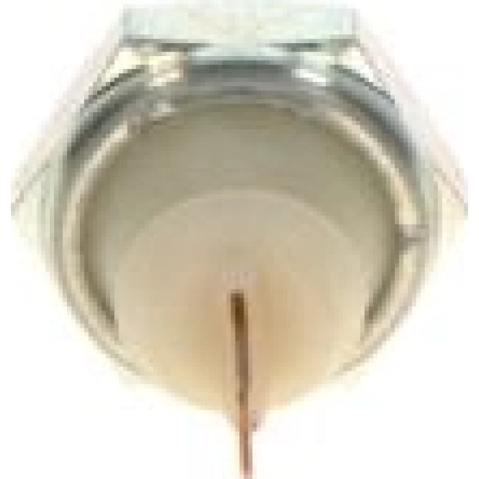 0 986 344 058 Bosch Öldruckschalter 0 986 344 058 0 986 344 058 Bosch Öldruckschalter 0 986 344 058