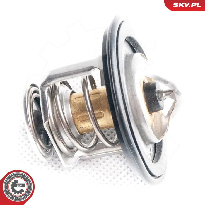 20SKV043 SKV GERMANY Thermostat 20SKV043 20SKV043 SKV GERMANY Thermostat 20SKV043