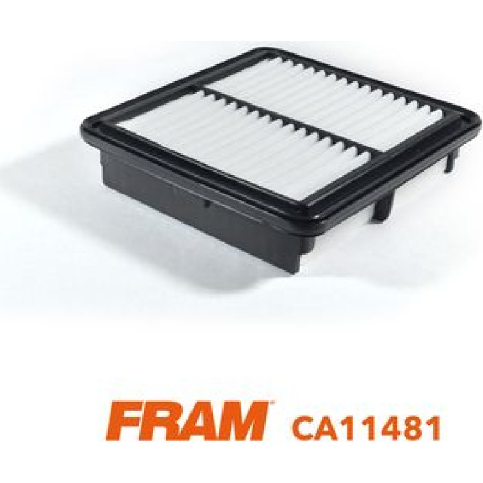 FRAM Luftfilter CA11481