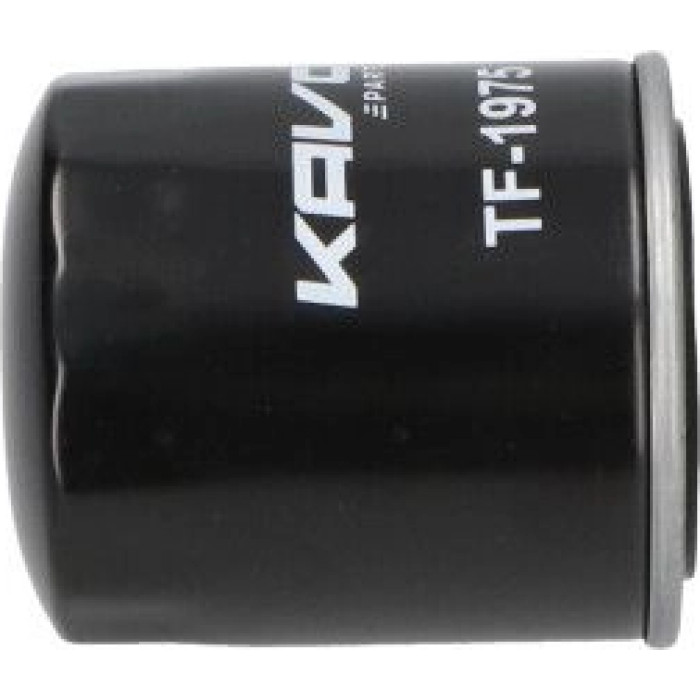 TF-1975 AMC Kraftstofffilter PKW TF-1975 AMC Kraftstofffilter PKW