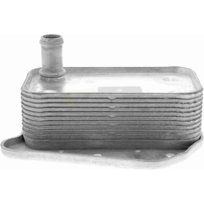 Vemo Motorölkühler V30-60-1323 Vemo Motorölkühler V30-60-1323
