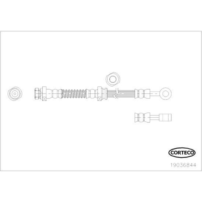 Corteco Bremsschlauch 19036844