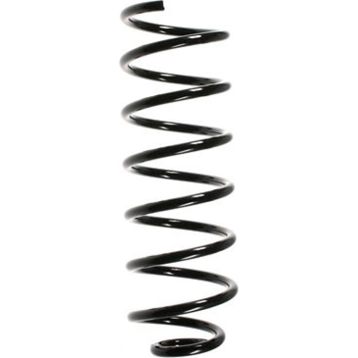 49344 Spidan Fahrwerksfeder 49344 - Hinterachse