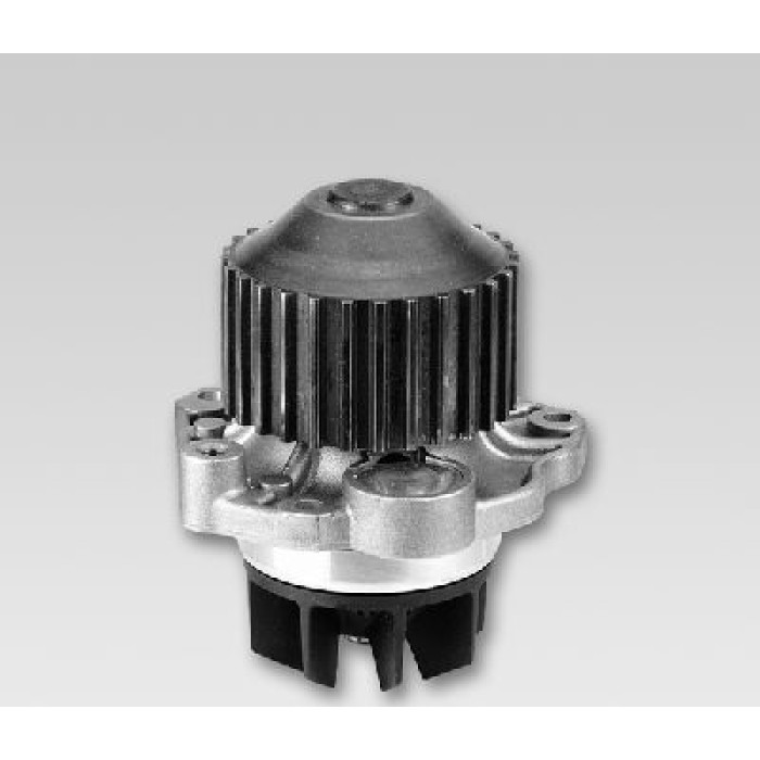 HEPU Wasserpumpe / Kühlmittelpumpe P802
