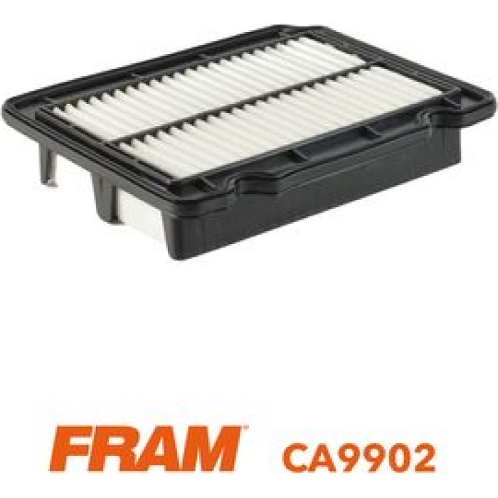 FRAM Luftfilter CA9902