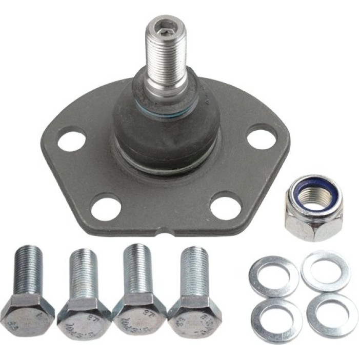 Sachs Traggelenk 26667 01 – beidseitig Sachs Traggelenk 26667 01 – beidseitig