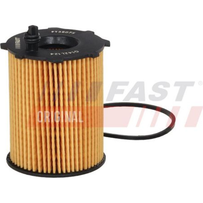 FT38075 FAST Ölfilter FT38075 FT38075 FAST Ölfilter FT38075