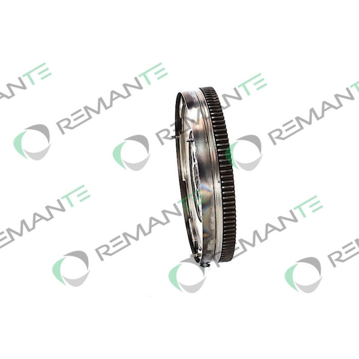 Schwungrad 009-001-000202R