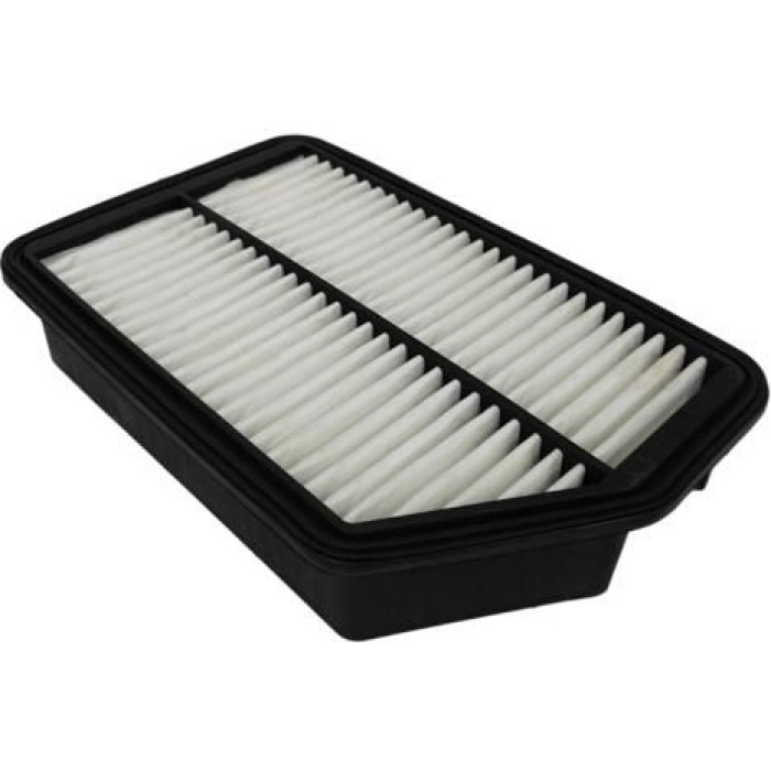 Champion Luftfilter CAF100935P Champion Luftfilter CAF100935P