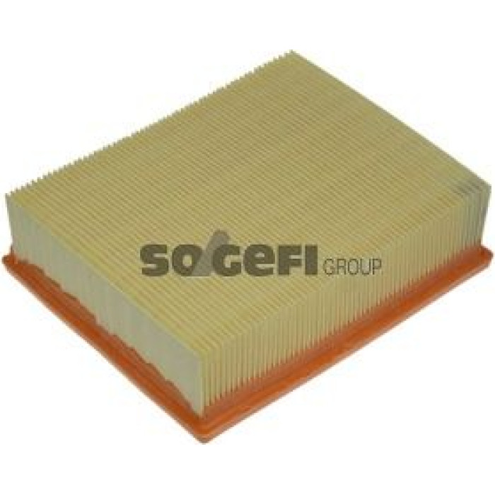 FRAM Luftfilter CA8675 FRAM Luftfilter CA8675