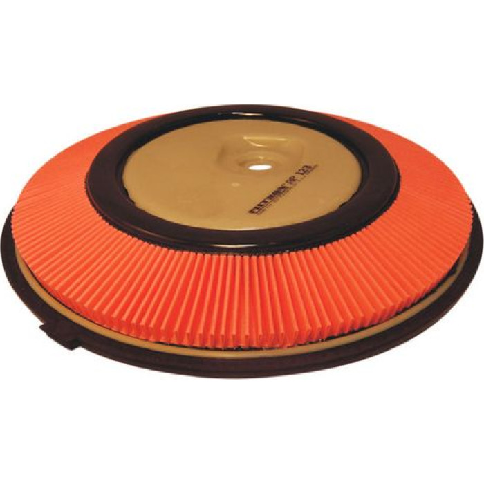 Filtron Luftfilter AP 123