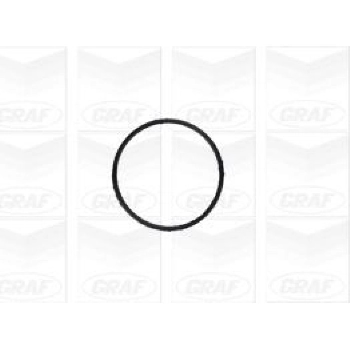 GRAF Wasserpumpe PA1155 GRAF Wasserpumpe PA1155
