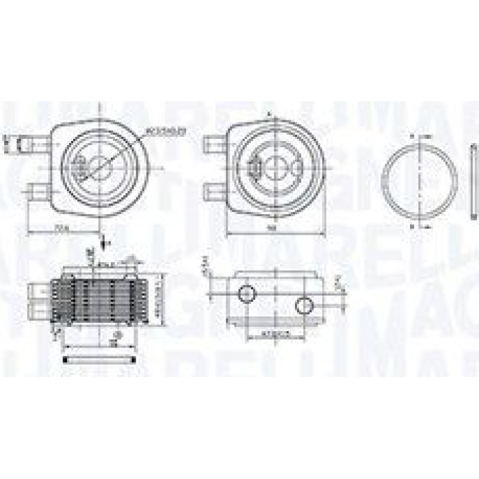 Magneti Marelli Ölkühler RO0019 - Motoröl Magneti Marelli Ölkühler RO0019 - Motoröl