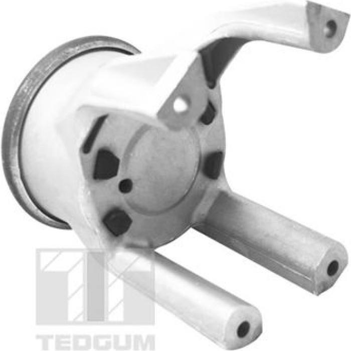 00725748 TEDGUM Motorlager 00725748 00725748 TEDGUM Motorlager 00725748