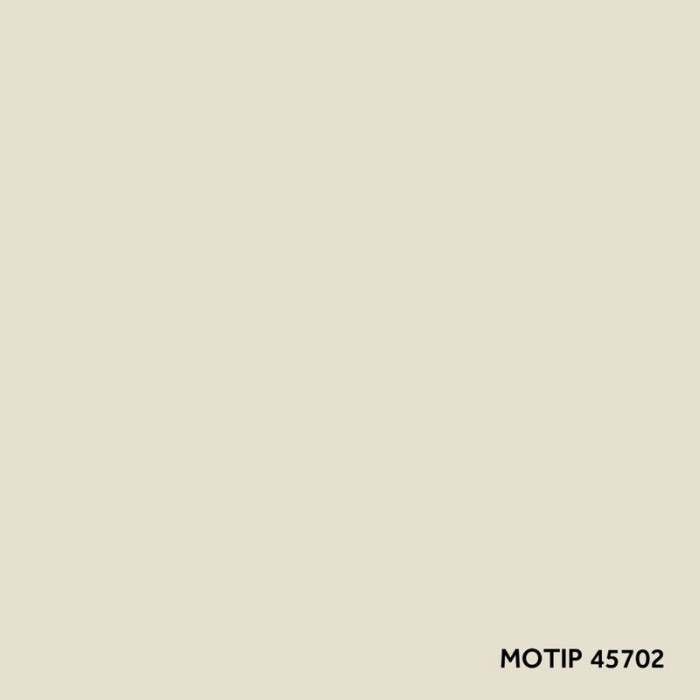 45702 MoTip Autolack Acryl Kompakt weiß-grau 400ml 45702 MoTip Autolack Acryl Kompakt weiß-grau 400ml