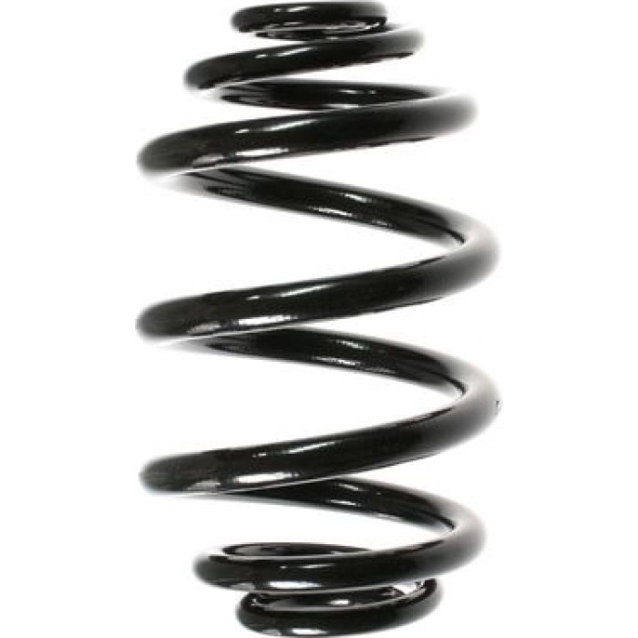 Spidan Fahrwerksfeder 49796 - Hinterachse Spidan Fahrwerksfeder 49796 - Hinterachse