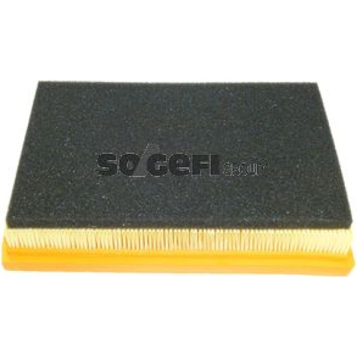 FRAM Luftfilter CA8858