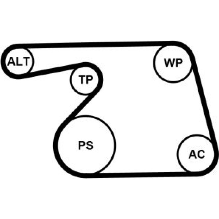 Continental CTAM Timing-Kit 6PK1318WP1 Continental CTAM Timing-Kit 6PK1318WP1