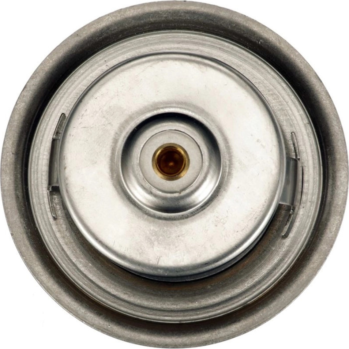TH01982G1 Gates Thermostat TH01982G1