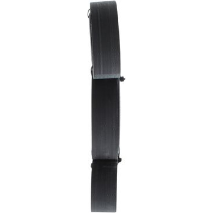 Bosch Keilrippenriemen 1987947562 Bosch Keilrippenriemen 1987947562