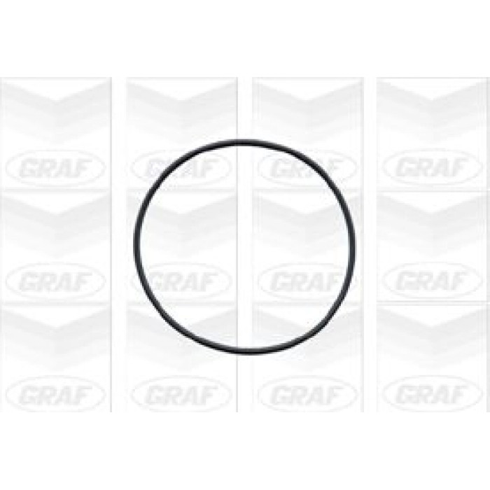 GRAF Wasserpumpe PA409 GRAF Wasserpumpe PA409