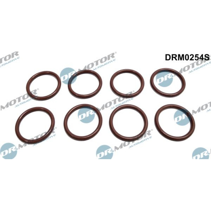 DR.MOTOR Dichtring, Sensorhalter DRM0254S DR.MOTOR Dichtring, Sensorhalter DRM0254S
