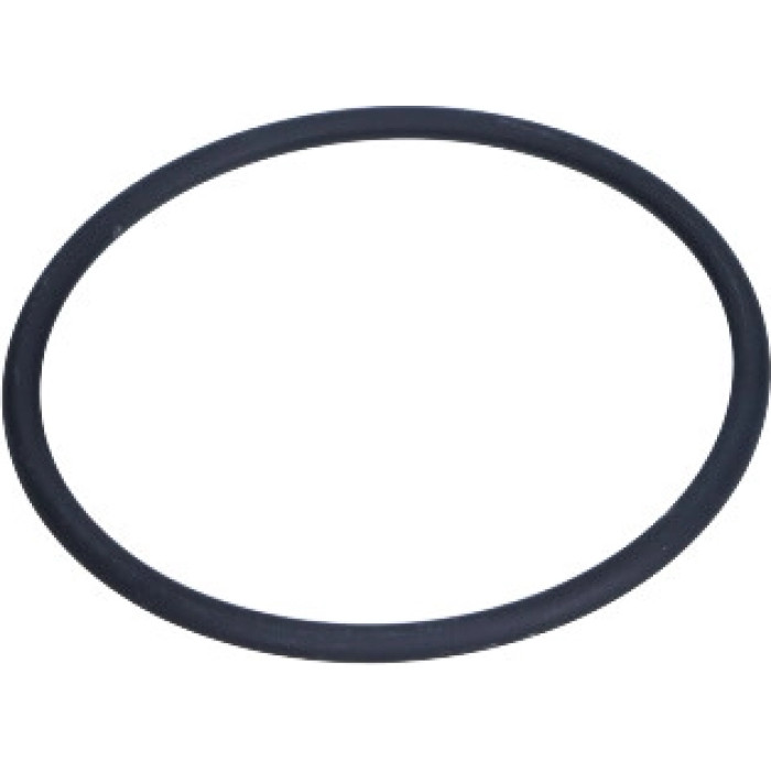 FA1 Auspuffdichtring 121-971