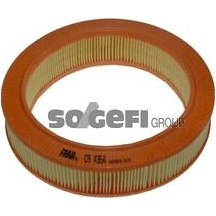 FRAM Luftfilter CA4354 FRAM Luftfilter CA4354