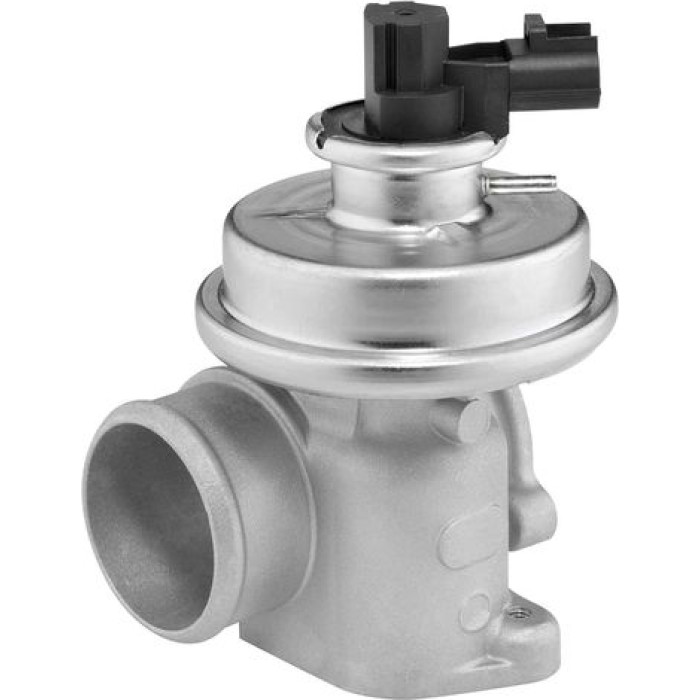 BorgWarner (Wahler) AGR-Ventil 712064D