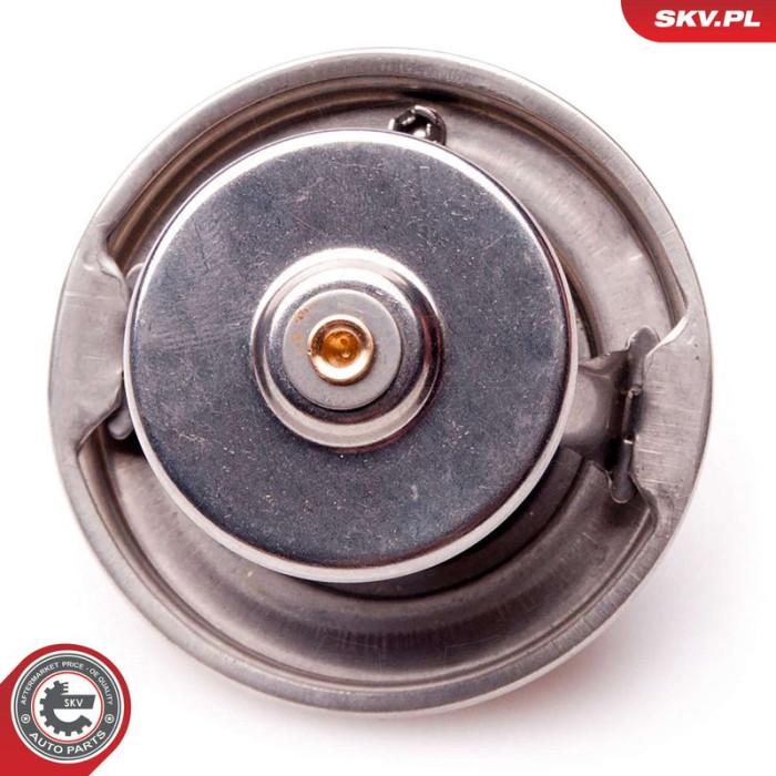 20SKV048 SKV GERMANY Thermostat 20SKV048 20SKV048 SKV GERMANY Thermostat 20SKV048