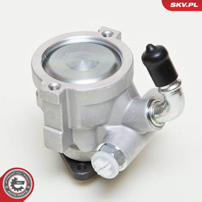 10SKV061 SKV GERMANY Hydraulikpumpe 10SKV061 10SKV061 SKV GERMANY Hydraulikpumpe 10SKV061