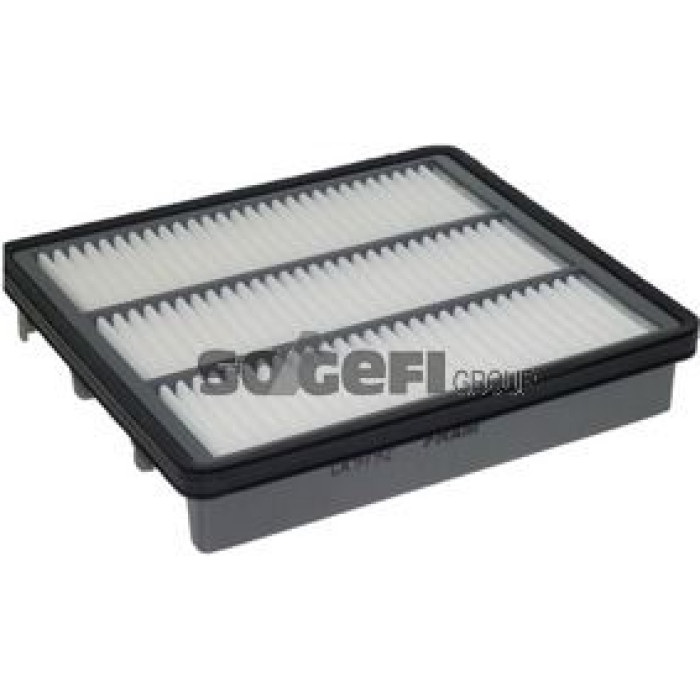 FRAM Luftfilter CA9792