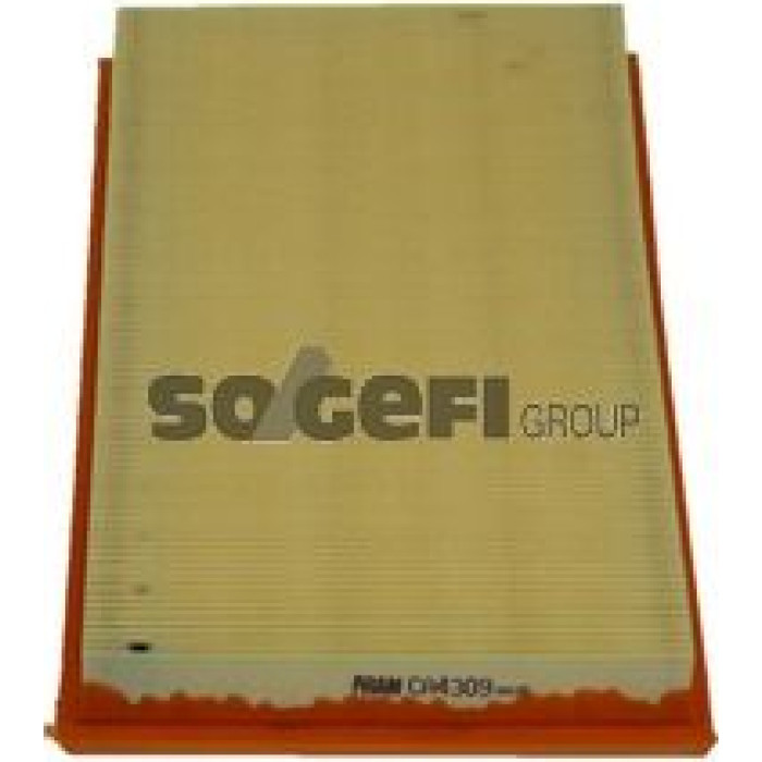FRAM Luftfilter CA4309 FRAM Luftfilter CA4309