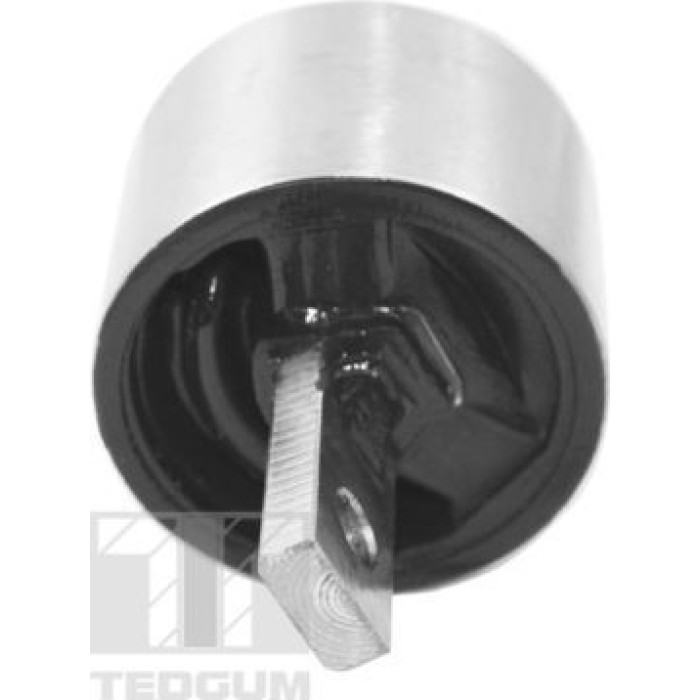TEDGUM Lagerung, Automatikgetriebeträger TED95695