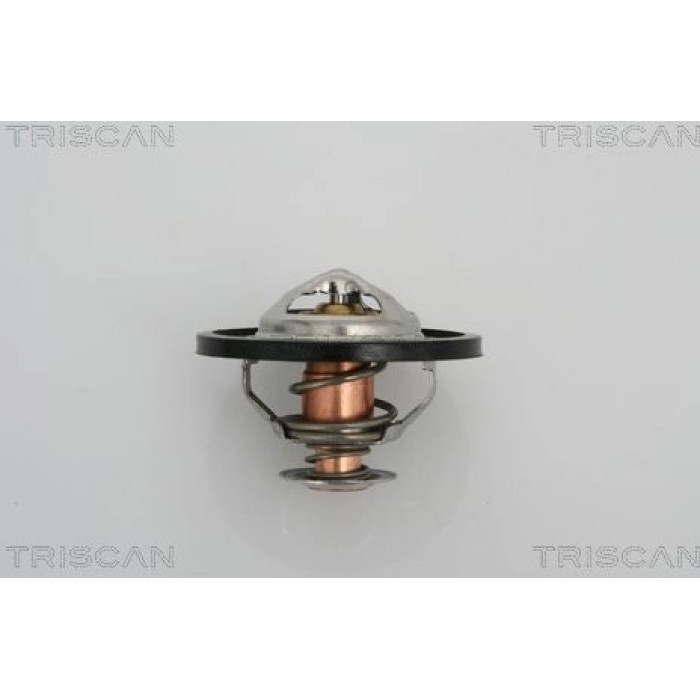 Thermostat, Kühlmittel 8620 13591